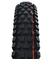 Schwalbe ALBERT GRAVITY PRO Evo Radial TLR  PRO Soft, 29x2.5