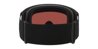Oakley Flight Deck Pro - Prizm sage gold iridium, L